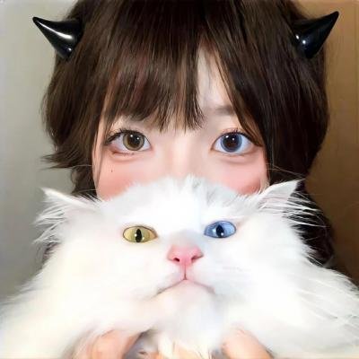 反贪局长